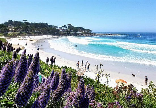 Carmel Beach Boardwalk